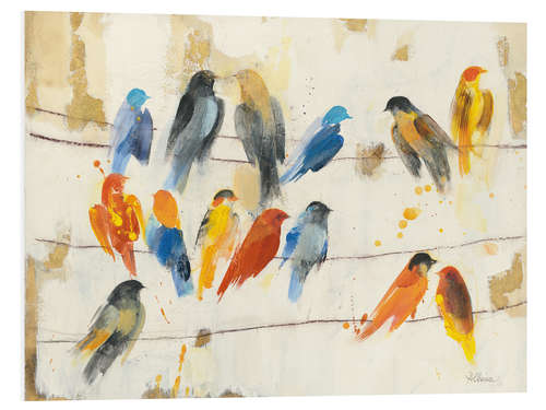 Foam board print Pretty Coluorful Birds On a Leash