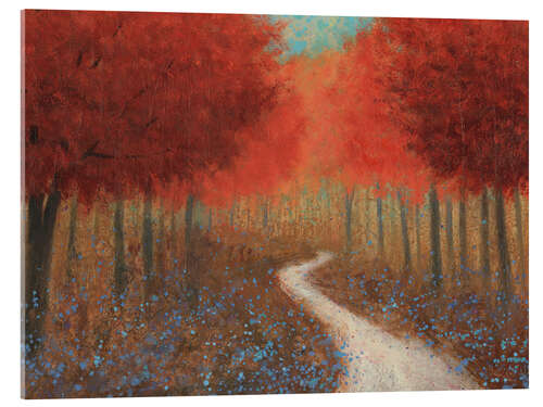 Acrylic print Forest Pathway