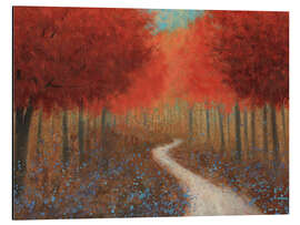 Aluminium print Forest Pathway