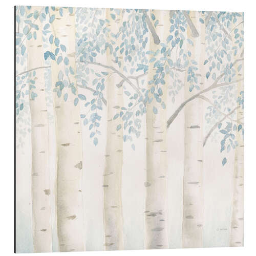 Cuadro de aluminio Birch trunks in the morning light I