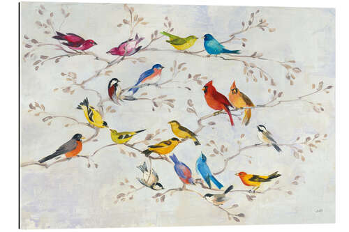 Galleriprint Colourful birds on branches