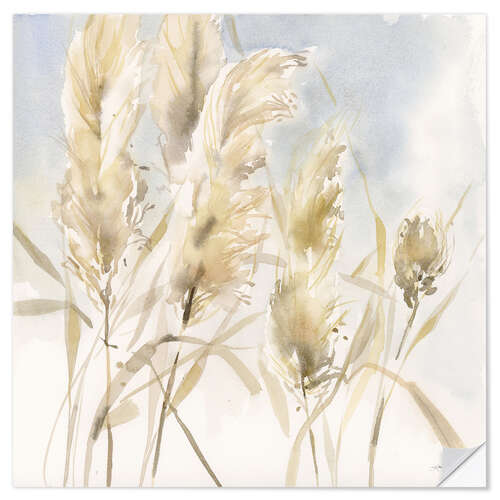 Wall sticker Pampas Grasses