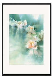 Gerahmter Kunstdruck Seerose I