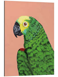 Aluminium print Green parrot head