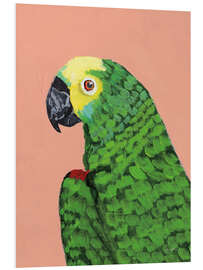 Foam board print Green parrot head