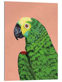 Gallery print Green parrot head