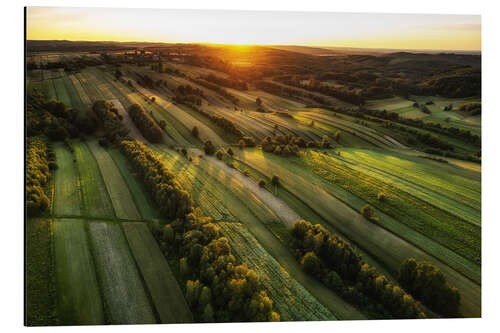 Aluminiumsbilde Fields at sunset