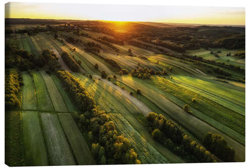 Canvas print Fields at sunset