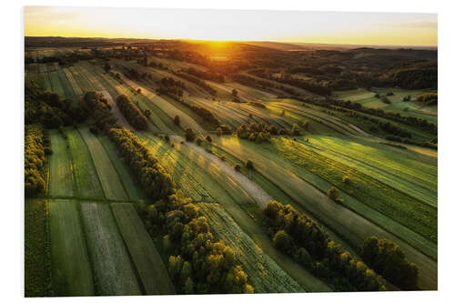 Print på skumplade Fields at sunset