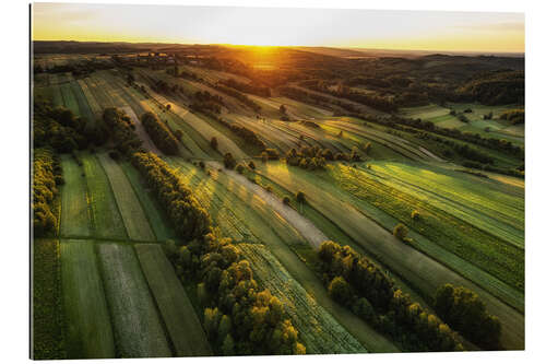 Tableau en plexi-alu Fields at sunset