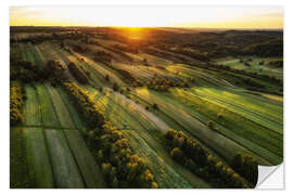 Selvklæbende plakat Fields at sunset