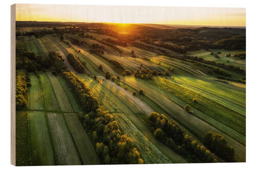 Tableau en bois Fields at sunset