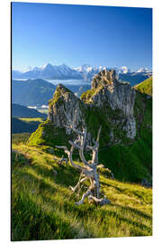 Aluminium print Dead tree in the Bernese Oberland