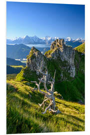 Foam board print Dead tree in the Bernese Oberland