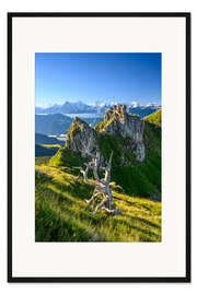 Gerahmter Kunstdruck Toter Baum im Berner Oberland