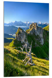 Gallery print Dead tree in the Bernese Oberland