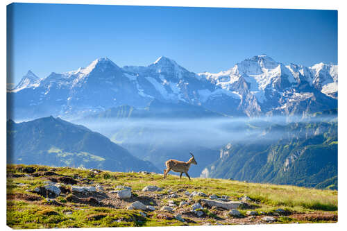 Canvas print Capricorn in front of the Eiger, Mönch and Jungfrau