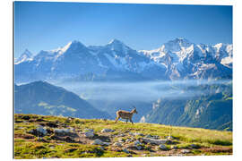 Galleritryk Capricorn in front of the Eiger, Mönch and Jungfrau