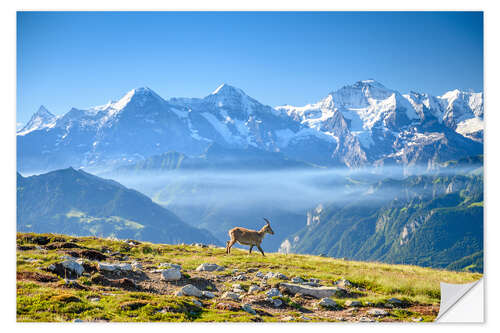 Wandsticker Steinbock vor Eiger, Mönch und Jungfrau