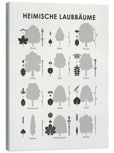 Canvas print Native deciduous trees (German)