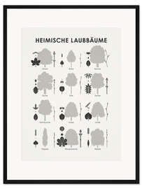 Gerahmter Kunstdruck Heimische Laubbäume