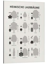 Magnettafel Heimische Laubbäume