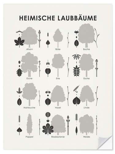 Selvklebende plakat Native deciduous trees (German)