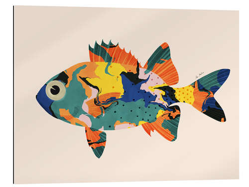 Stampa su plexi-alluminio Tropical fish III