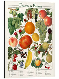 Aluminium print Vintage Fruits &amp; Berries (German)