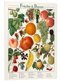 Cuadro de PVC Vintage Fruits &amp; Berries (German)