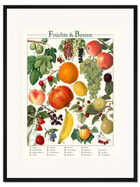 Gerahmter Kunstdruck Vintage Früchte &amp; Beeren