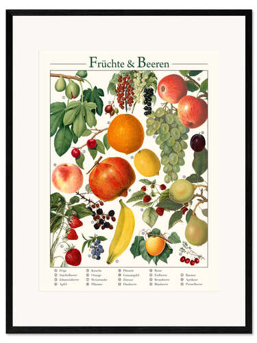 Gerahmter Kunstdruck Vintage Früchte & Beeren