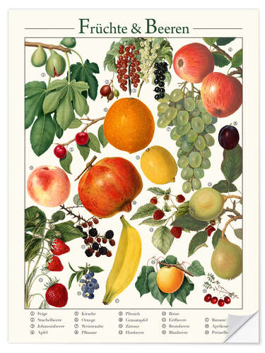 Vinilo para la pared Vintage Fruits & Berries (German)