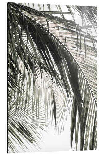 Gallery print Under palm trees at the beach