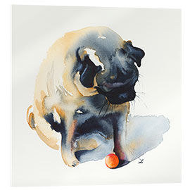 Stampa su vetro acrilico Pug with a Ball