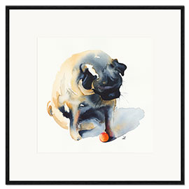 Ingelijste kunstdruk Pug with a Ball