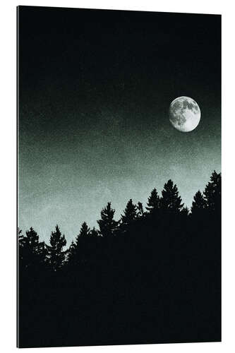 Gallery print Under Moonlight