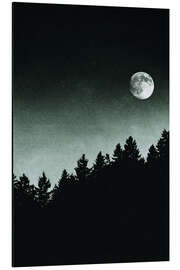Magnettafel Unter dem Mondschein