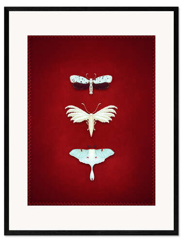Kehystetty taidepainatus The Moths