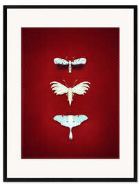 Framed art print The Moths