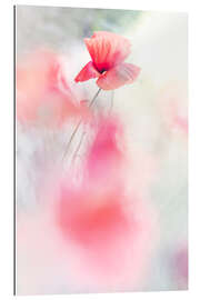 Tableau en plexi-alu Poppies dancing in the wind