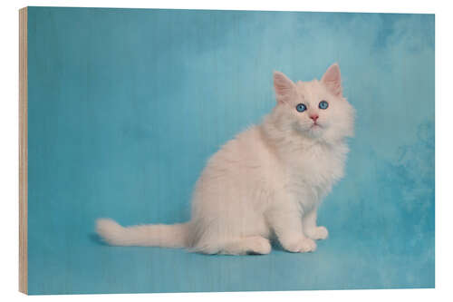 Tableau en bois White siberian kitten