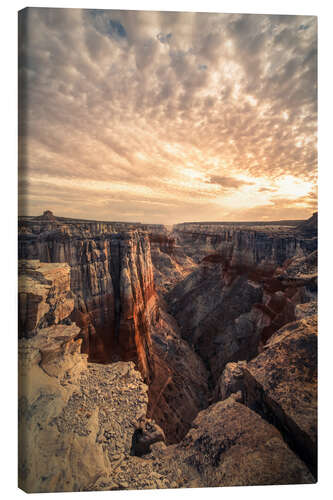 Lærredsbillede Coal Mine Canyon at sunrise