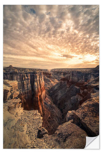 Selvklebende plakat Coal Mine Canyon at sunrise