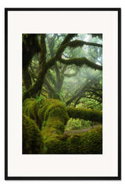 Gerahmter Kunstdruck Mitten im Wald