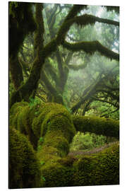 Magnettafel Mitten im Wald