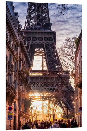 Foam board print Eiffel Tower in the morning light