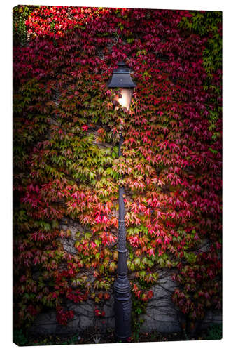 Canvas print Lantern and wild wine at Montmartre