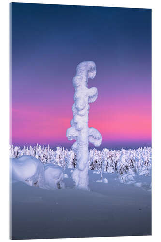 Acrylglas print Snow-covered tree in Lapland