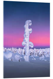 Acrylglas print Snow-covered tree in Lapland